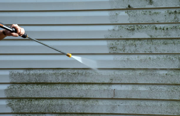 Best Pressure Washing Patio  in Louise, TX
