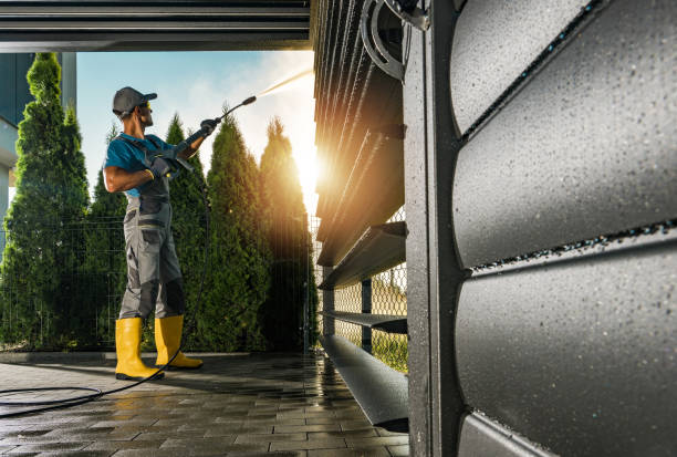 Best Roof Pressure Washing  in Louise, TX