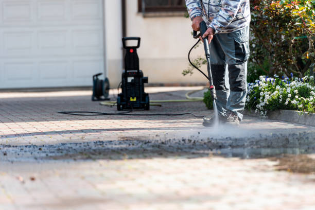Roof Power Washing Services in Louise, TX